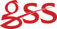 GSS logo.